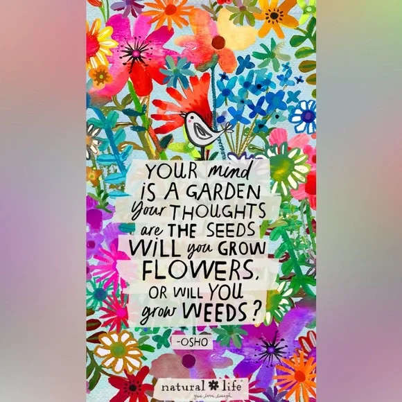 Ready to use LIVE SALE - Picture 2 of 6